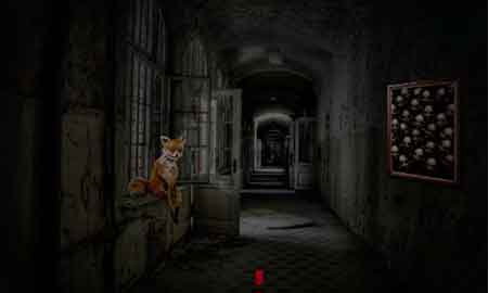 house-of-fear-fox