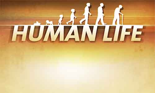 human-life-cheats